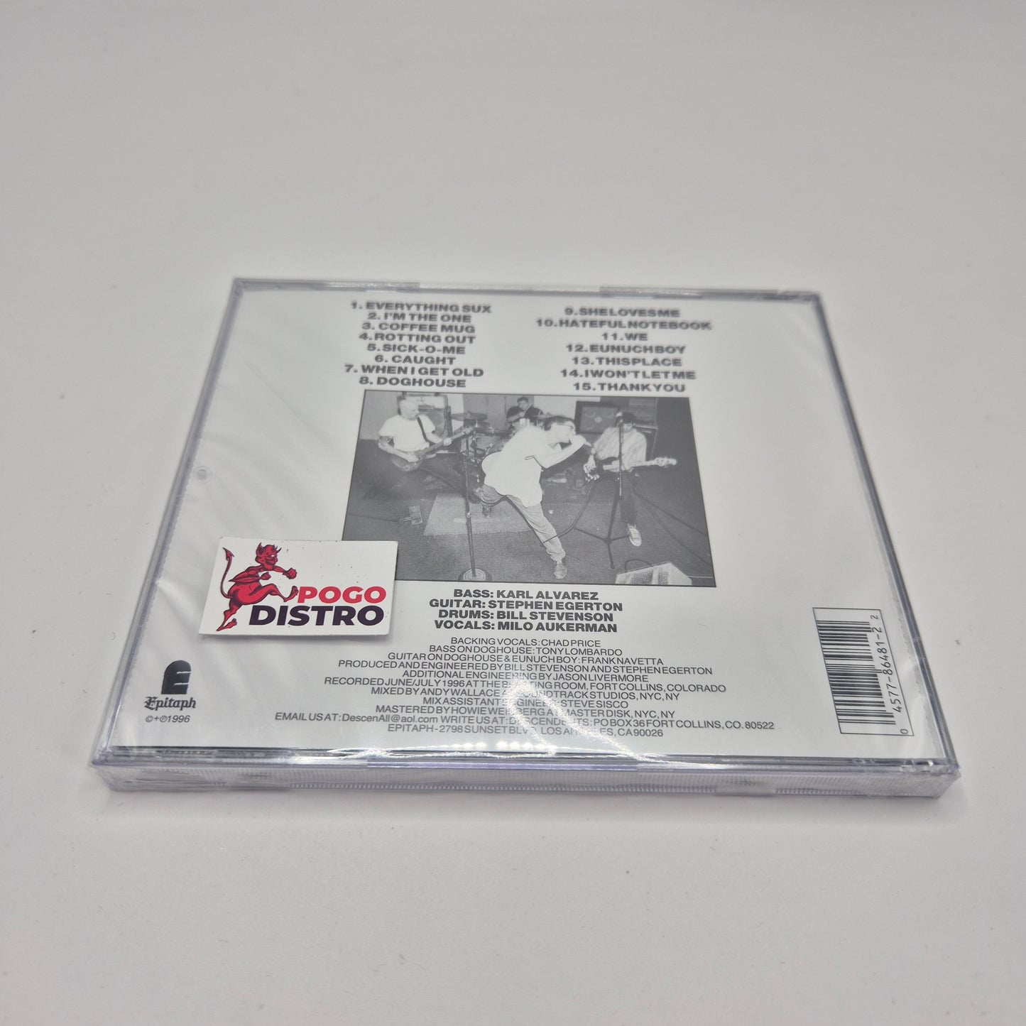 Descendents - Everything Sucks