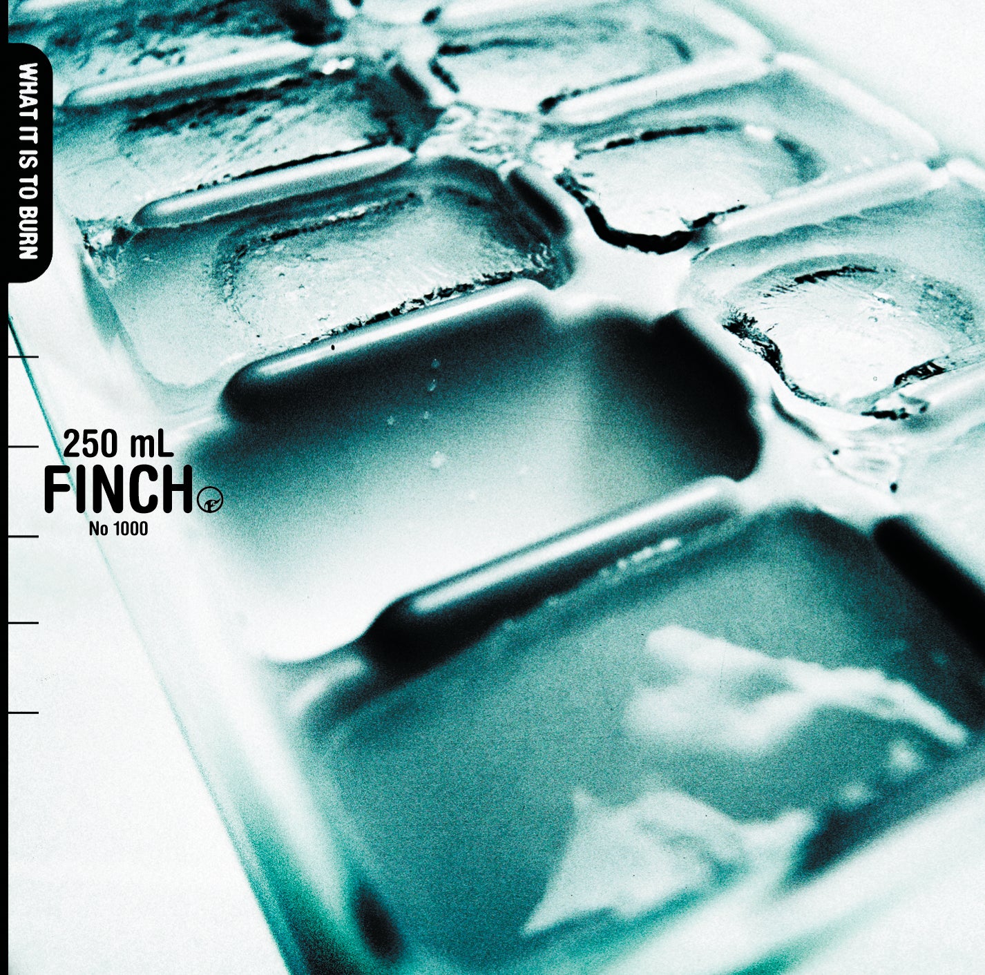 Finch - What It Is To Burn (Edición Japonesa + CD Promo Lucero)