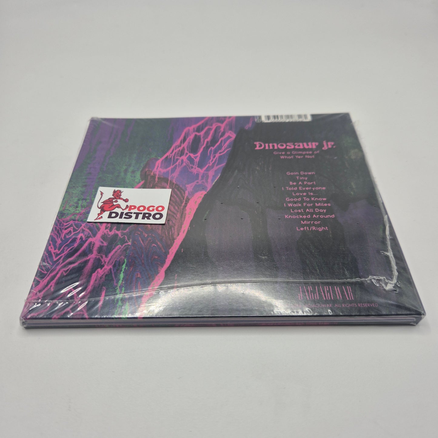 Dinosaur Jr. - Give A Glimpse Of What Yer Not